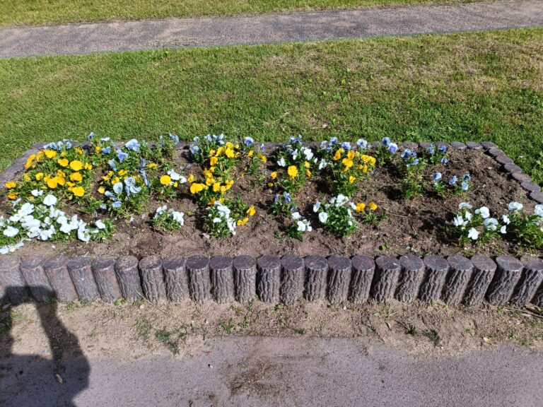 花壇の雑草の除草
