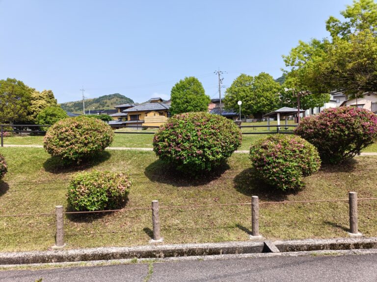 ツツジを剪定 1日目