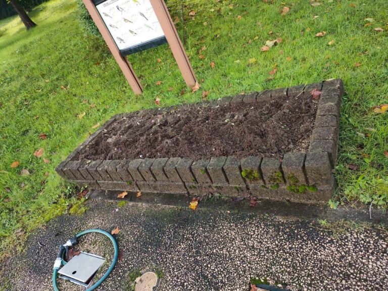 花壇の花の植え替えの準備